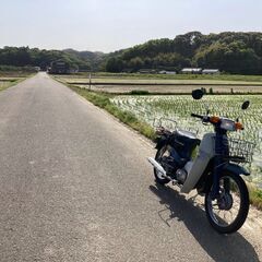 ホンダ　スーパーカブ50カスタム　の画像