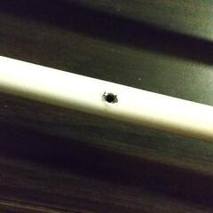 伸縮収納棚 つっぱり式 中古の画像