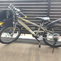 ジュニア子供用自転車　20インチ　ドライド　シルバー