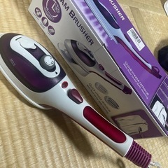 スチームアイロン(スチームブラッシャー)新品の画像
