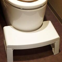 トイレ用折りたたみ踏み台 3COINS トイトレ 子供用 スリコ