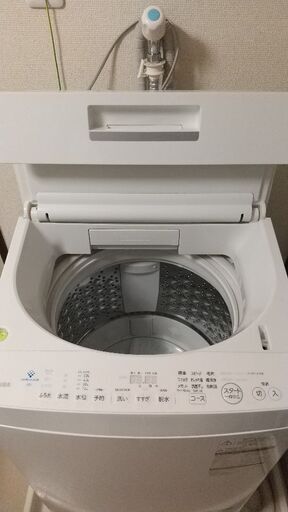 東芝 2019年製 洗濯機