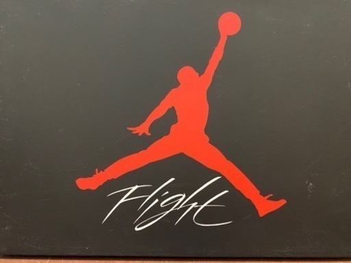 AIR JORDAN4 FIRERED