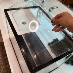 水槽　セット　美品の画像