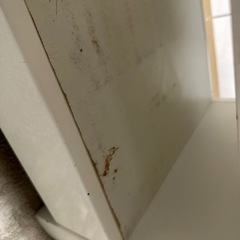 テーブルの画像