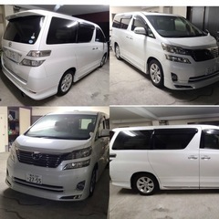 トヨタ ヴェルファイア 2010の画像