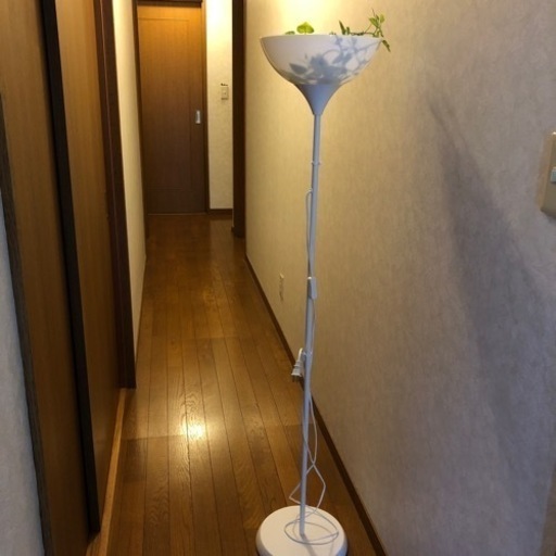 イケヤ　LDL間接照明　(売り切れました)