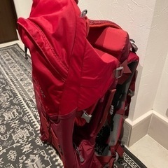 Macpac ベビーキャリアの画像