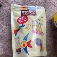 熱帯魚色々の画像