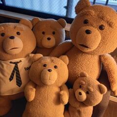 🧸おしゃべり等身大テッド🧸+の画像