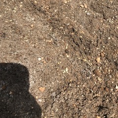 畑　土　差し上げますの画像
