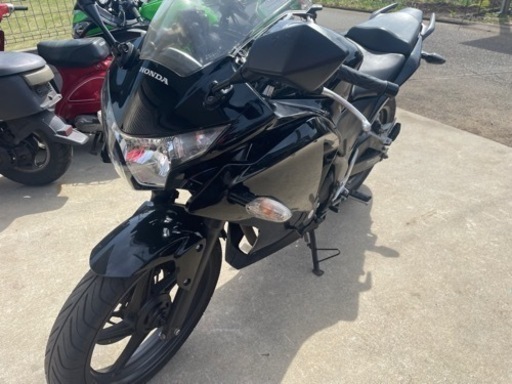 ホンダ　cbr250r (mc41 人気黒