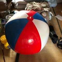 ビーチボールと、足踏みポンプと足ヒレ