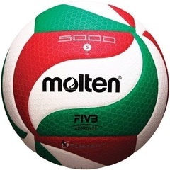 【急募】4/23(日) 豊橋でバレー🏐