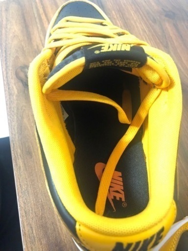 Nike Dunk Low 