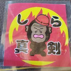 白真剣