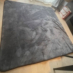 【譲ります】カーペット