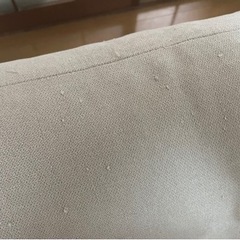 【お譲り先決まりました】2人掛けソファ ニトリの画像