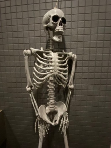 等身大　ガイコツ　ドクロ　マネキン　トルソー