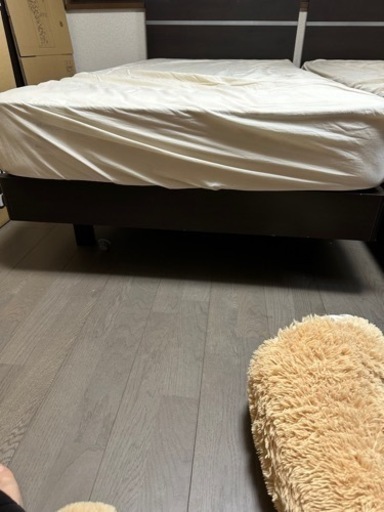 ベット二つセットKINSIN