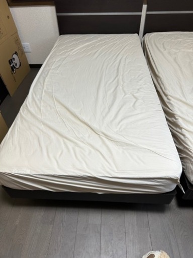 ベット二つセットKINSIN