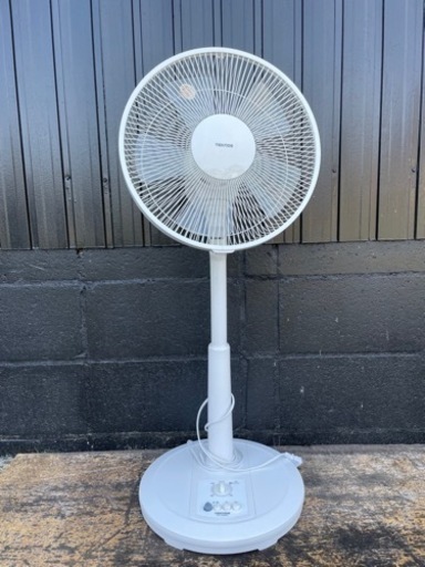 早い者勝ち　テクノス　扇風機