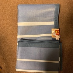 ラグ　もう一つのラグと二つで1000円です！