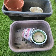 不要盆栽鉢譲る