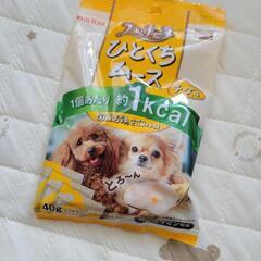 犬用おやつ 訳あり