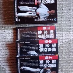 極真空手　DVD2の画像
