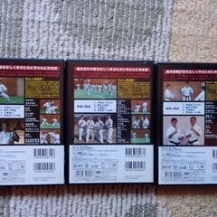 極真空手　DVD2の画像