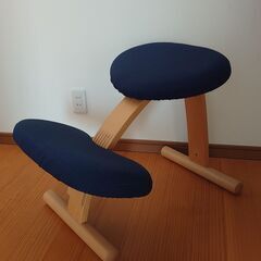 バランスチェアイージー　サカモトハウス　カバー付きの画像