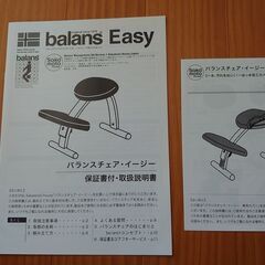 バランスチェアイージー　サカモトハウス　カバー付きの画像