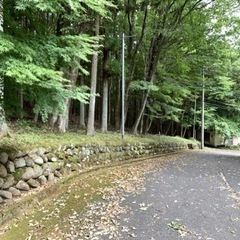 売地10万円 280平米 84.7坪 日光  鬼怒川 竜王苑 「竜王峡」駅徒歩13分 所有権  日光市移住支援金制度あり - 土地販売/土地売買