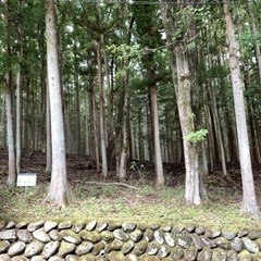 売地10万円 280平米 84.7坪 日光  鬼怒川 竜王苑 「竜王峡」駅徒歩13分 所有権  日光市移住支援金制度あり − 栃木県