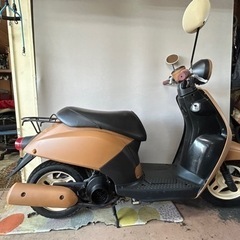 HONDA today AF61
