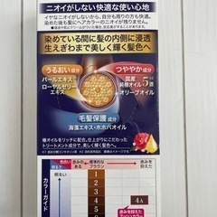 白髪染め サロンドプロ 4A アッシュブラウンの画像