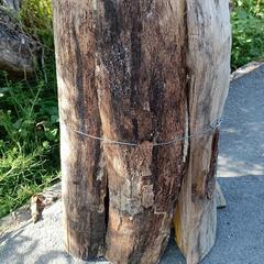 薪一束♪　広葉樹ミックスです♫の画像