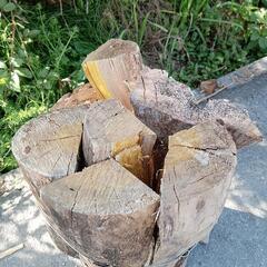 薪一束♪　広葉樹ミックスです♫の画像