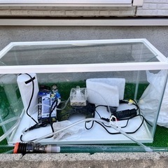 gex60cm規格水槽、亀、メダカに