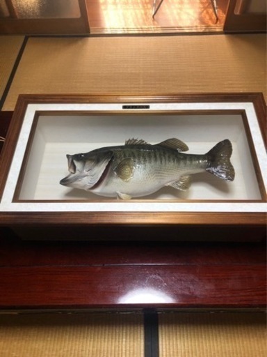 ブラックバス剥製