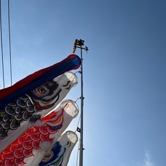 ★鯉のぼり★ 引き渡し5／6日以降！