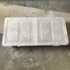 カブトムシ　飼育ケース　多頭飼い用