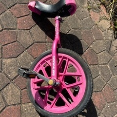 Earth Magic 16インチ自転車　値下げ可能です Earth Magic 16インチ自転車 値下げ可能です Earth Magic 16