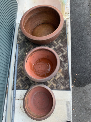 睡蓮鉢　　三つ揃い