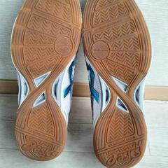 アシックス　フットサルシューズ　体育館用　２７cmの画像