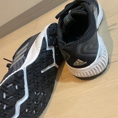※美品　adidas トレーニングシューズの画像