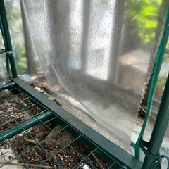グリーンハウスあげますの画像