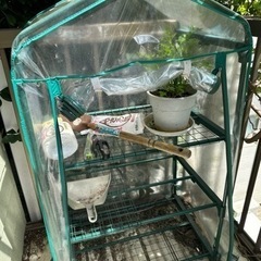 グリーンハウスあげます