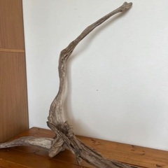 天然流木　置物　レイアウト　爬虫類　魚類　流木　大型